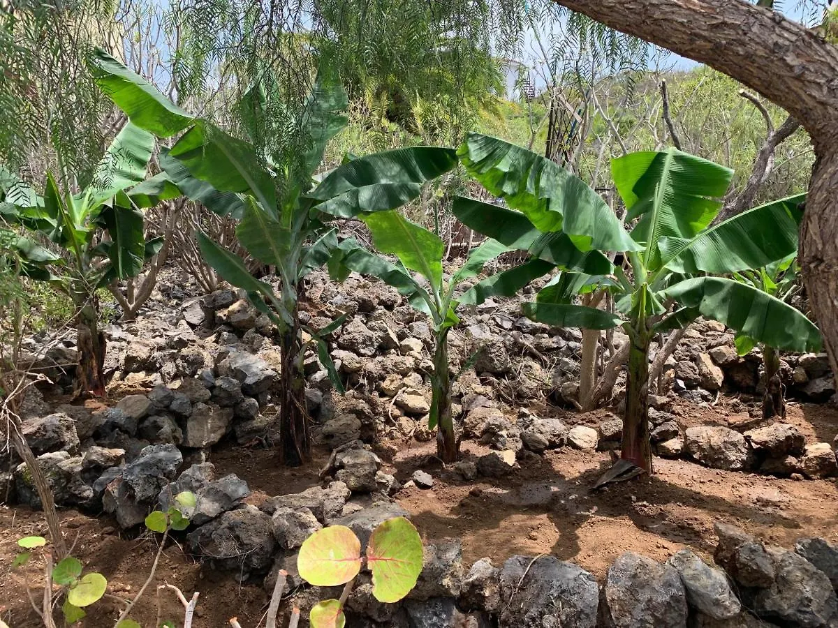 Bodeguita - Finca Tabaiba By Tor Icod De Los Vinos Spanien